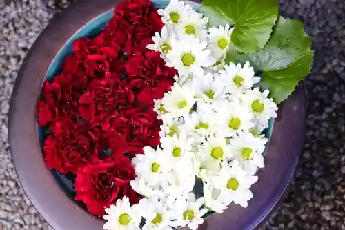 上尾御嶽神社の手水舎