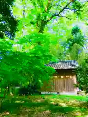 野木神社の建物その他