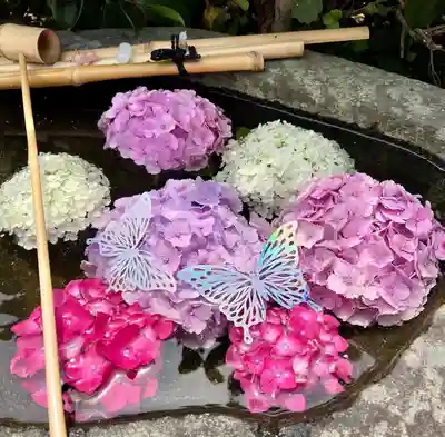 真言宗　善通寺派　薬王寺の手水舎