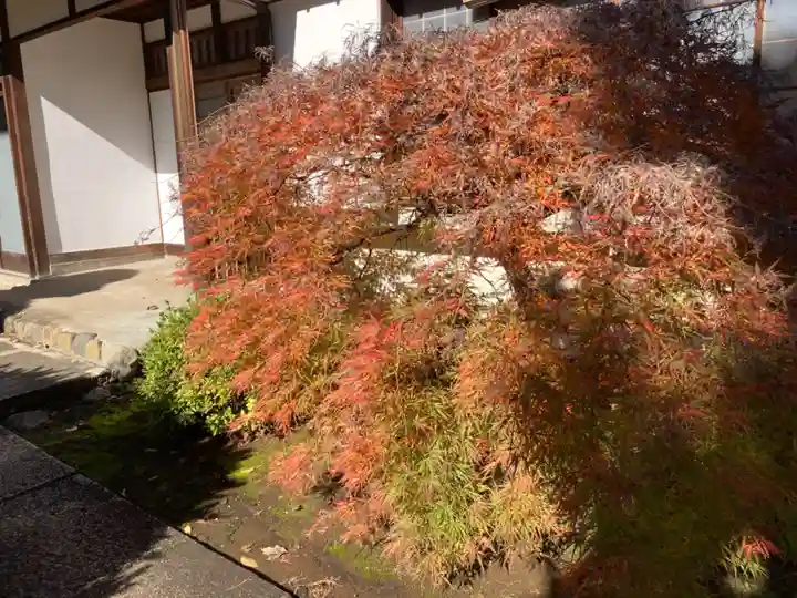 長仙寺(東京都)