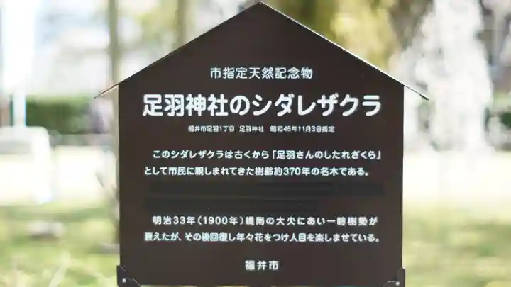 足羽神社(福井県)