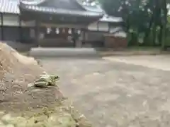 川田八幡神社の動物