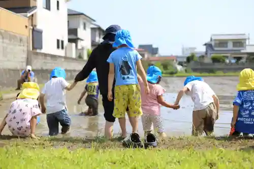 白鳥神社の体験その他