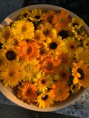 彌都加伎神社の手水舎