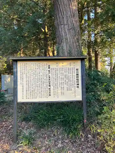 磯部稲村神社(茨城県)