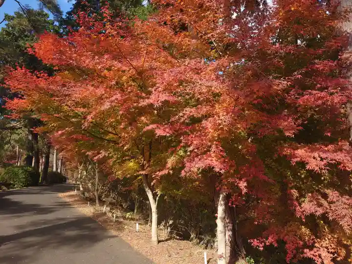 塩船観音寺の自然