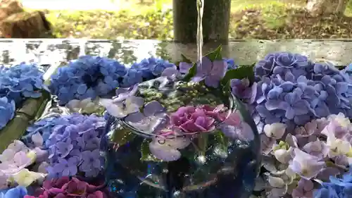 坂本八幡神社の手水舎