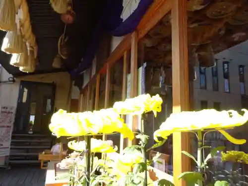 菊名神社の本殿・本堂