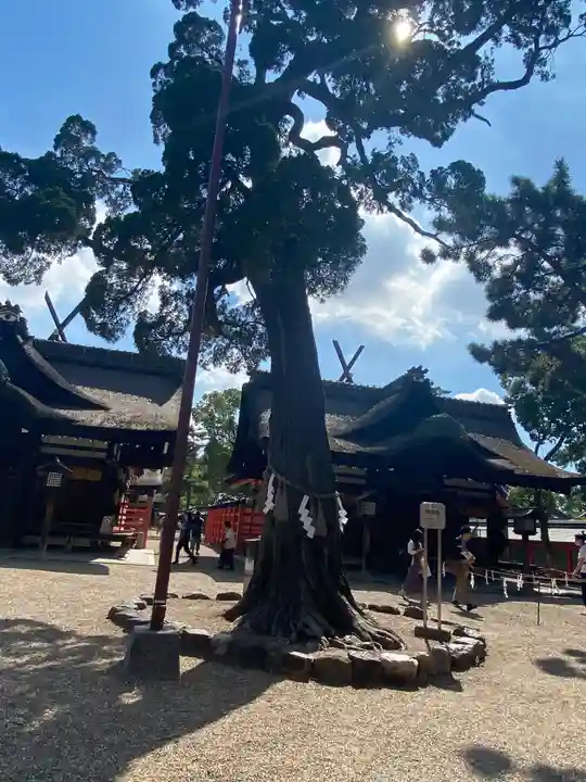 住吉大社のその他建物