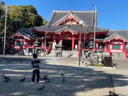 甚目寺の本殿・本堂