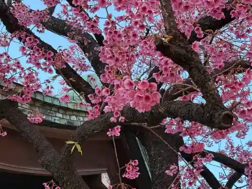 荏原神社(東京都)