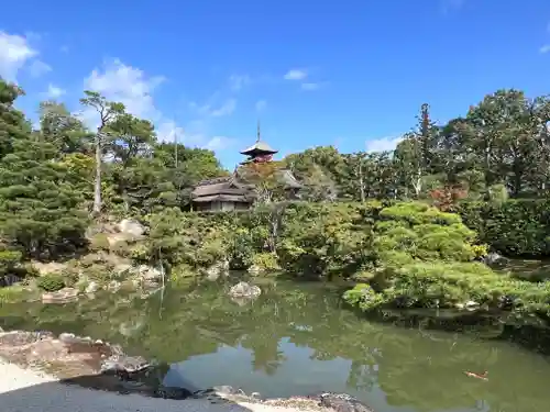 仁和寺(京都府)
