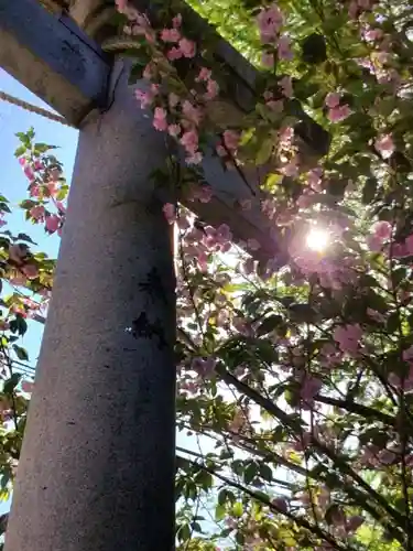 小野照崎神社(東京都)