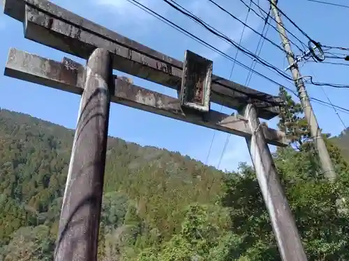 速川神社の鳥居