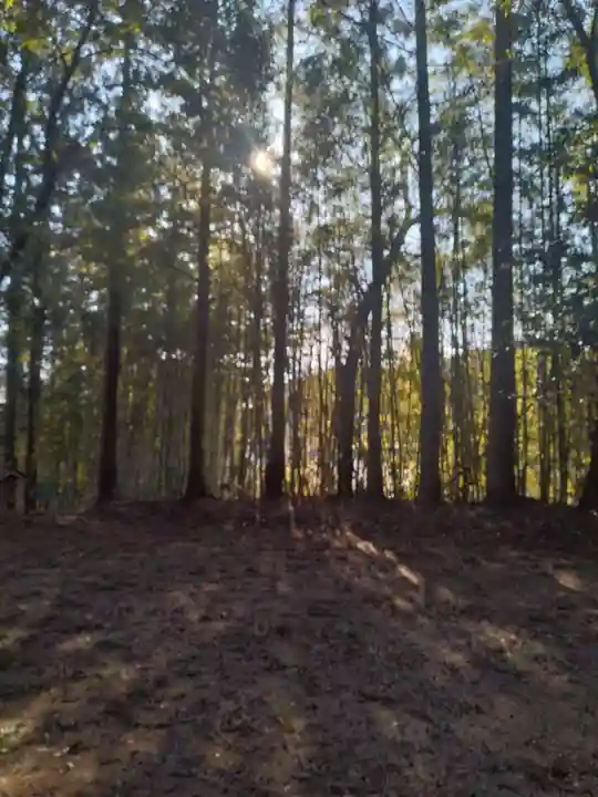 小針薬師如来堂(宮城県)