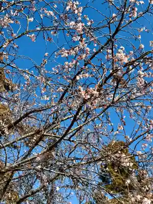 大沼神社の{uncategorized: "未分類", other: "その他", undefined: "問題あり", building: "その他建物", grave: "お墓", sacred_gate: "鳥居", guardian: "狛犬", statue: "像", buddha: "仏像", history: "歴史", nature: "自然", garden: "庭園", animal: "動物", pagoda: "塔", temizu: "手水舎", mountain_gate: "山門・神門", sanctuary: "本殿・本堂", subordinate: "末社・摂社", art: "芸術", scenery: "景色", jizo: "地蔵", ema: "絵馬", goshuin: "御朱印", omikuji: "おみくじ", items: "授与品その他", amulet: "お守り", goshuincho: "御朱印帳", eats: "食事", festival: "お祭り", votive_dance: "神楽", shichigosan: "七五三参", wedding: "結婚式", experience: "体験その他", initially: "初詣", around: "周辺", anti_infection: "感染症対策"}