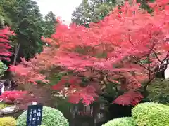 くろ谷 金戒光明寺(京都府)