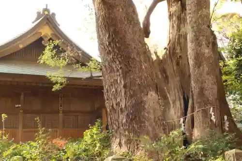 神崎神社(千葉県)