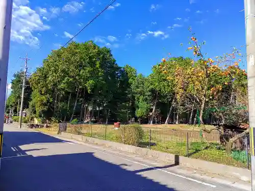 比良賀神社の自然