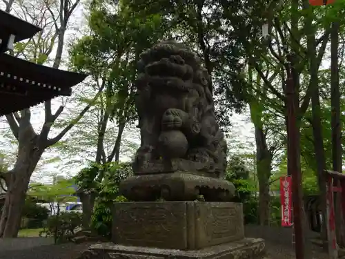 熊野福藏神社の狛犬