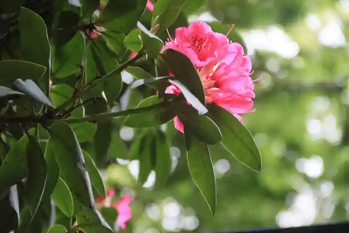 阿邪訶根神社の庭園