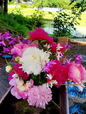 高司神社〜むすびの神の鎮まる社〜の手水舎