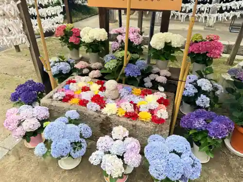 岡寺（龍蓋寺）(奈良県)