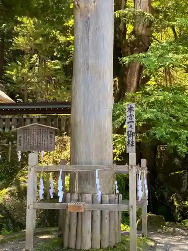 諏訪大社の自然