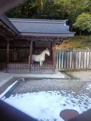 伊奈波神社(岐阜県)