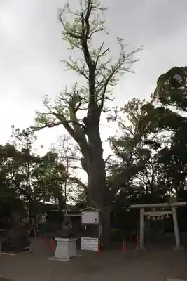 大宮神社(千葉県)