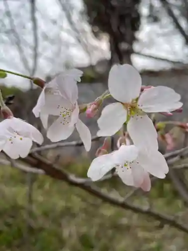 荷松院幸大寺(兵庫県)