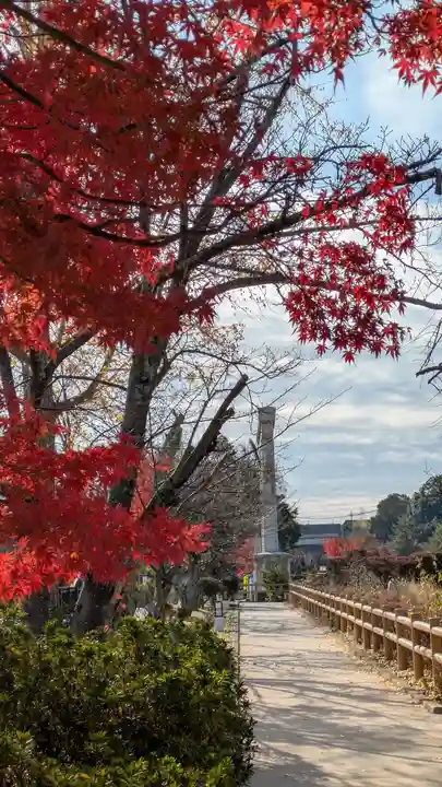 長岡天満宮(京都府)