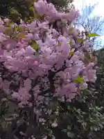 東玉川神社(東京都)