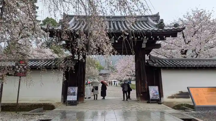 醍醐寺(京都府)