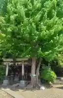 鮫洲八幡神社(東京都)