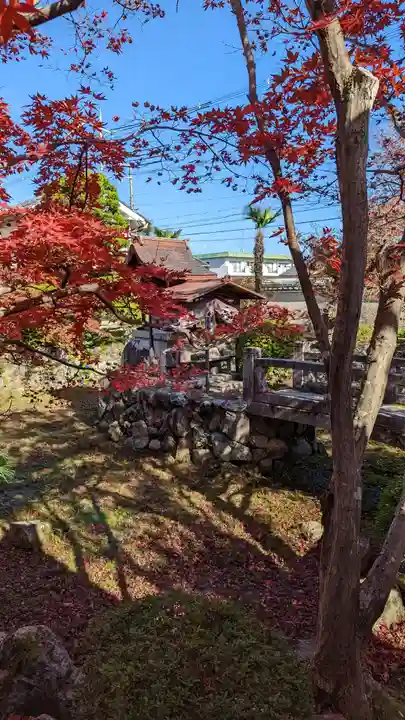 神光院(京都府)