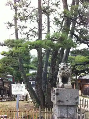 大願寺の狛犬