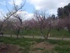 常磐神社の周辺