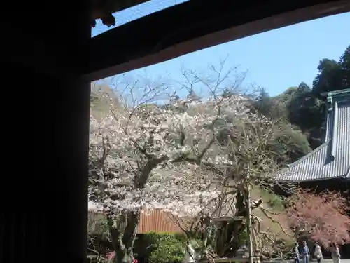 妙本寺の景色