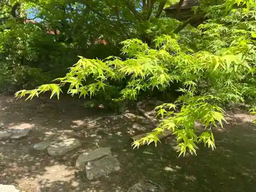 木舟山　順教寺(広島県)