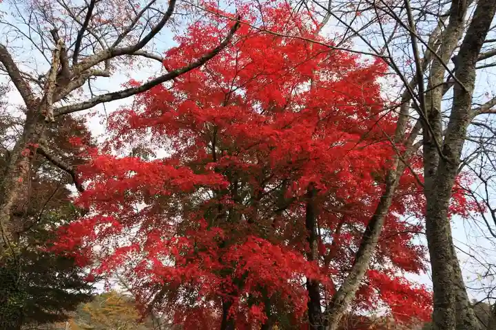 長屋神社の自然