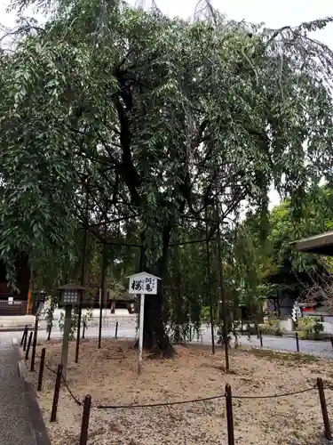 大報恩寺（千本釈迦堂）(京都府)