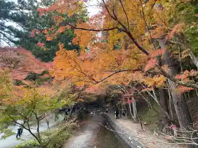 小國神社(静岡県)