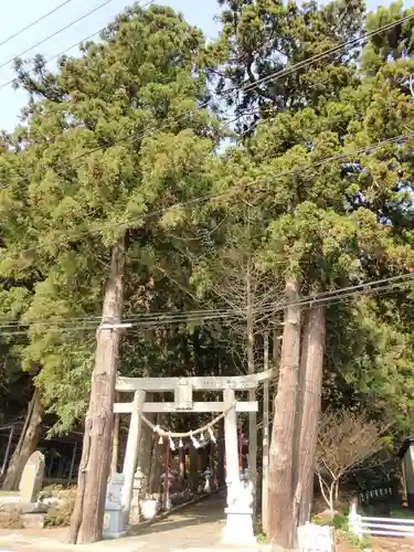 國本神社の鳥居