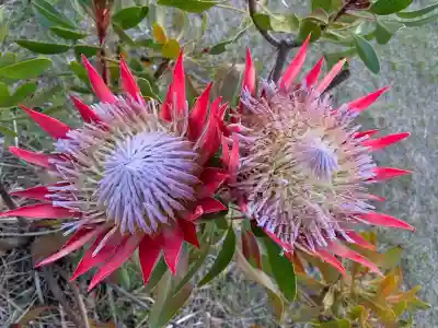初木神社(静岡県)