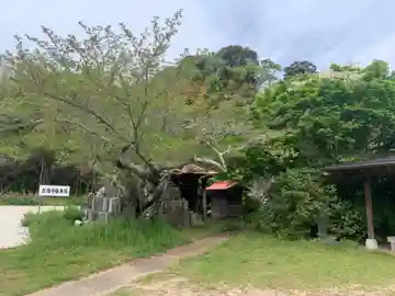 永福寺(千葉県)