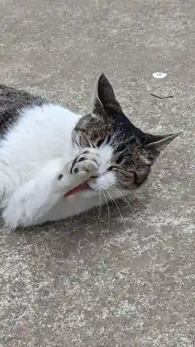 玉野御嶽神社の動物
