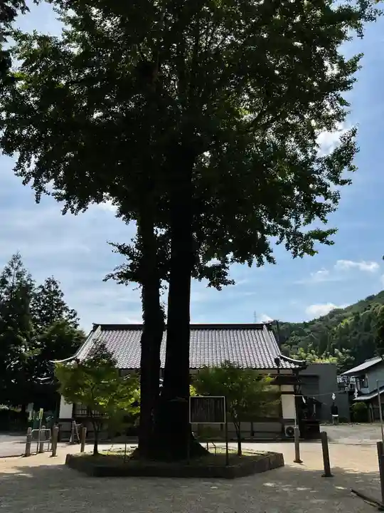 足助八幡宮(愛知県)