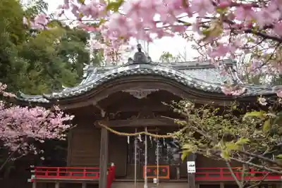 吾妻神社の本殿・本堂