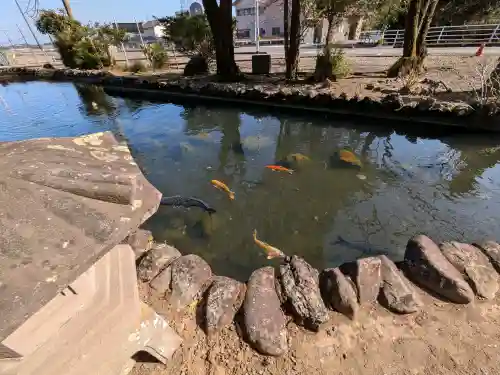 今泉神社の{uncategorized: "未分類", other: "その他", undefined: "問題あり", building: "その他建物", grave: "お墓", sacred_gate: "鳥居", guardian: "狛犬", statue: "像", buddha: "仏像", history: "歴史", nature: "自然", garden: "庭園", animal: "動物", pagoda: "塔", temizu: "手水舎", mountain_gate: "山門・神門", sanctuary: "本殿・本堂", subordinate: "末社・摂社", art: "芸術", scenery: "景色", jizo: "地蔵", ema: "絵馬", goshuin: "御朱印", omikuji: "おみくじ", items: "授与品その他", amulet: "お守り", goshuincho: "御朱印帳", eats: "食事", festival: "お祭り", votive_dance: "神楽", shichigosan: "七五三参", wedding: "結婚式", experience: "体験その他", initially: "初詣", around: "周辺", anti_infection: "感染症対策"}